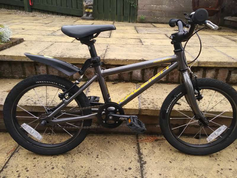 raleigh performance 16